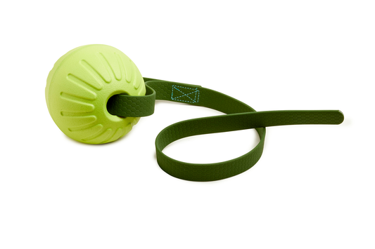 Pallina per cani in schiuma EVA Foam con manico - Frido